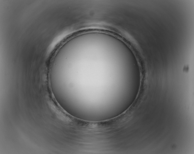 X0000116831360200912181424