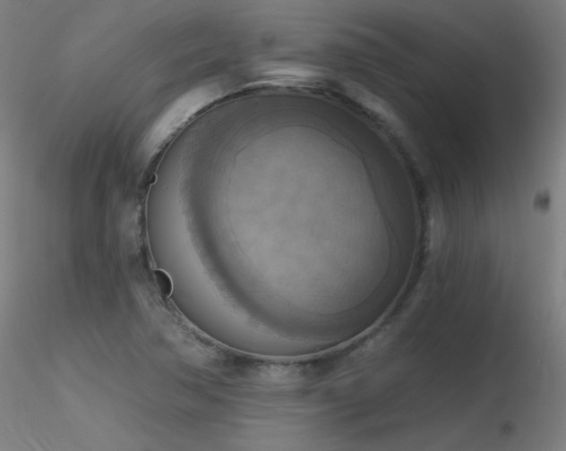 X0000116831362200912181424