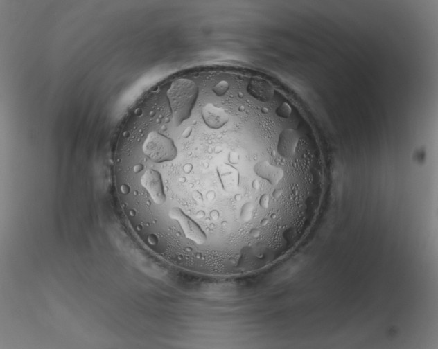 X0000116831363200912181424