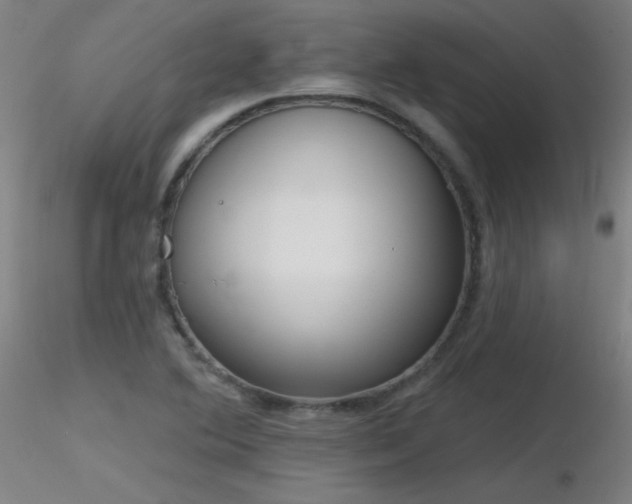 X0000116831364200912181424