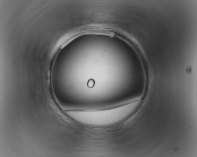 X0000116831365200912181424