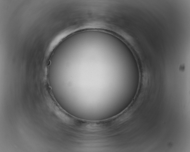 X0000116831366200912181424