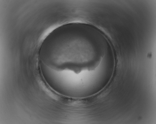 X0000116831367200912181424