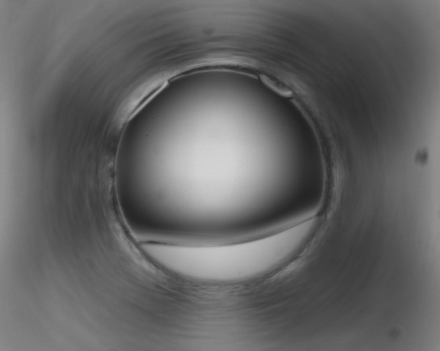 X0000116831369200912181424
