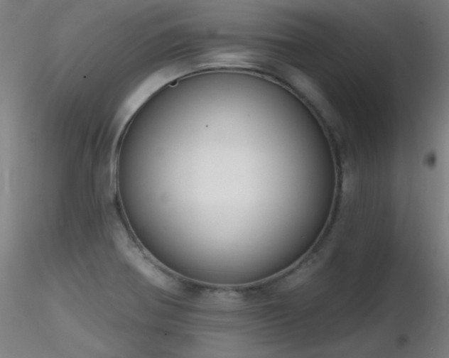 X0000116831370200912181424
