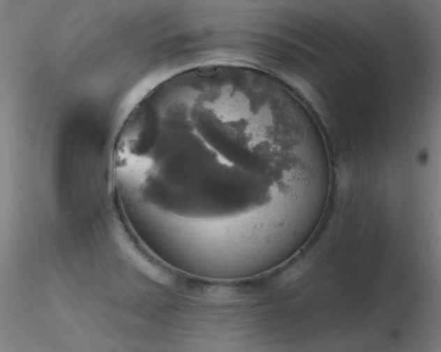 X0000116831371200912181424