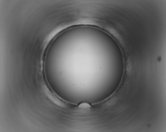 X0000116831372200912181424
