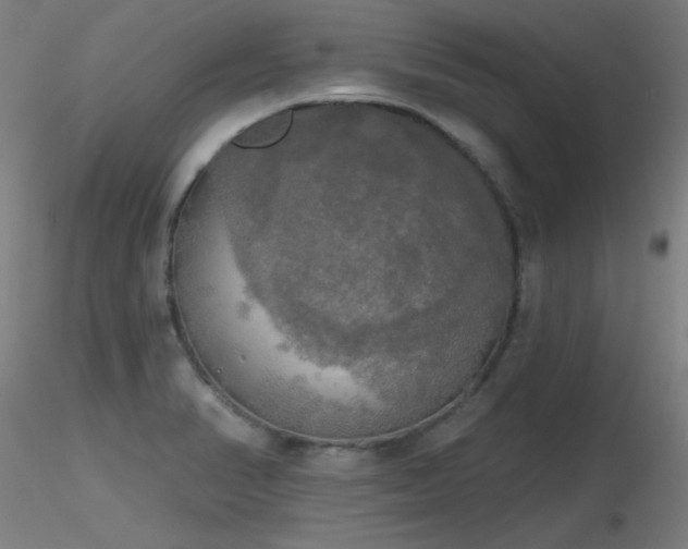 X0000116831374200912181424