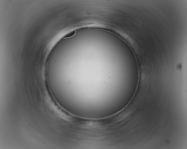 X0000116831375200912181424