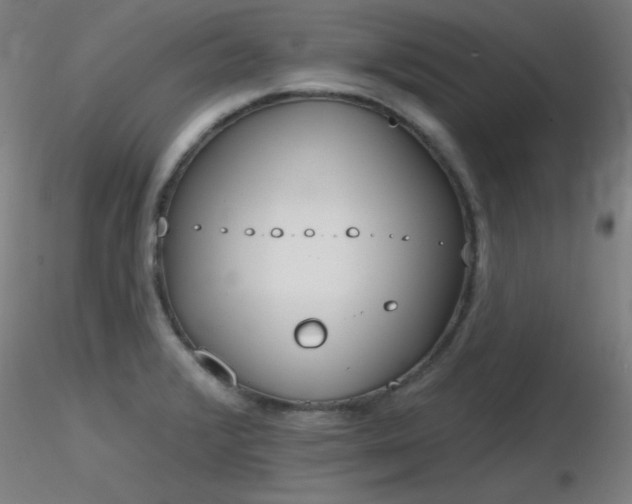X0000116831376200912181424