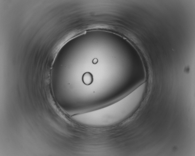 X0000116831377200912181424