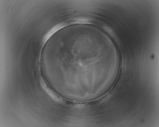 X0000116831378200912181424