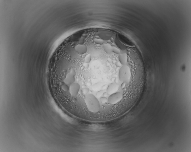 X0000116831379200912181424