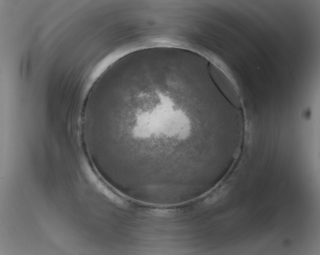 X0000116831381200912181424