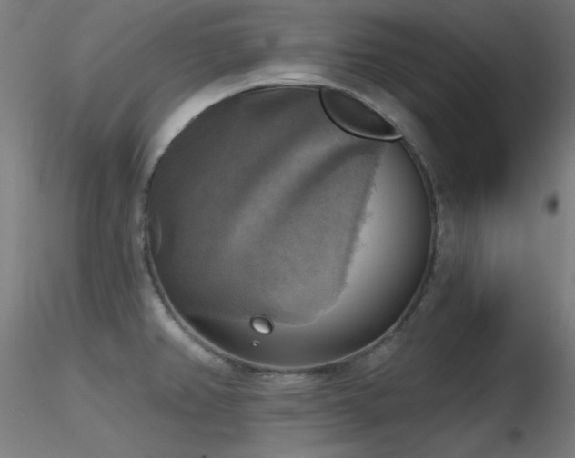 X0000116831382200912181424