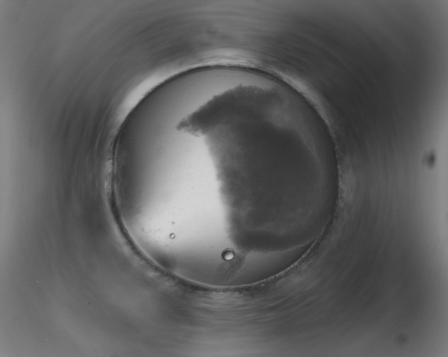 X0000116831383200912181424