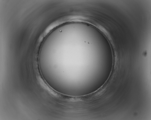 X0000116831384200912181424