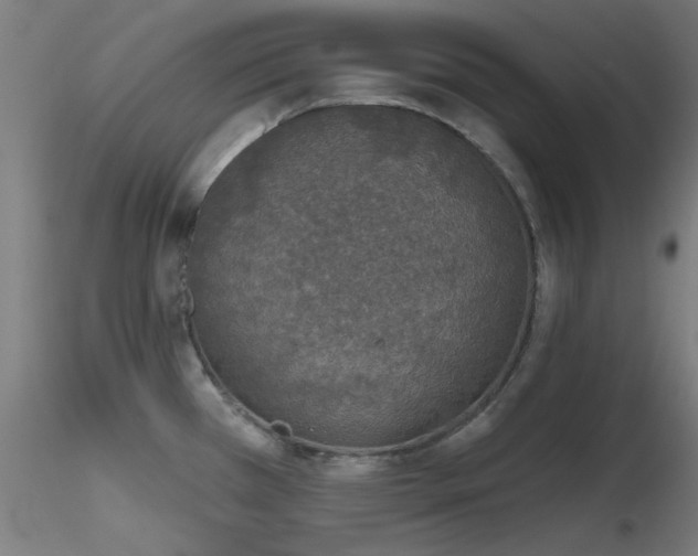 X0000116831385200912181424