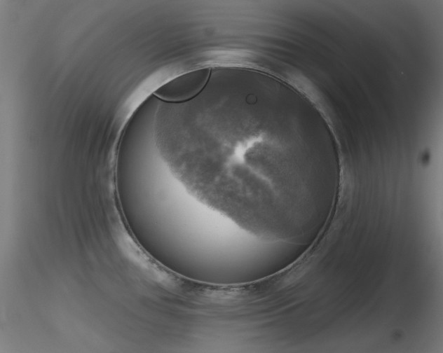 X0000116831386200912181424