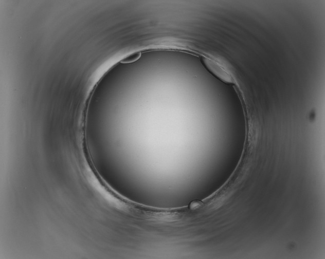 X0000116831387200912181424