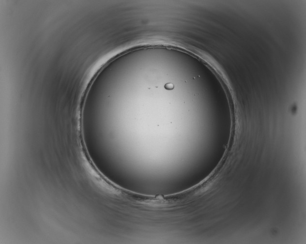 X0000116831388200912181424
