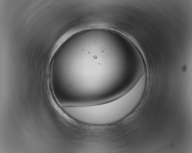 X0000116831389200912181424