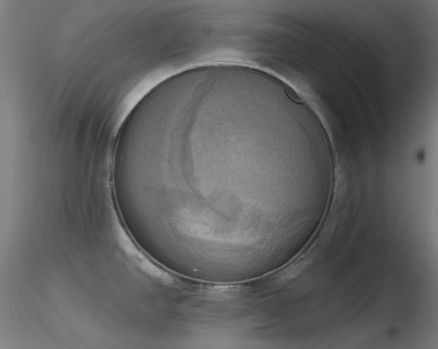 X0000116831390200912181424