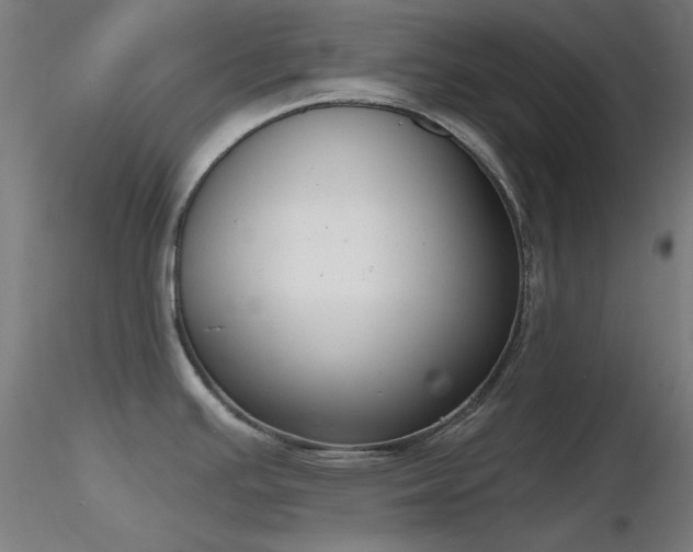 X0000116831391200912181424