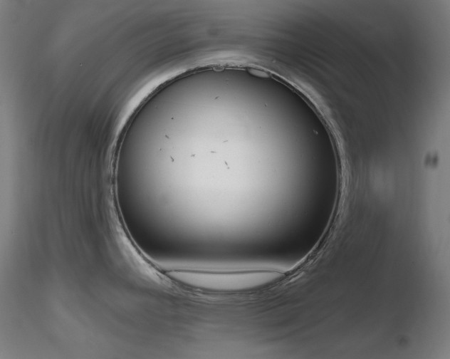 X0000116831392200912181424