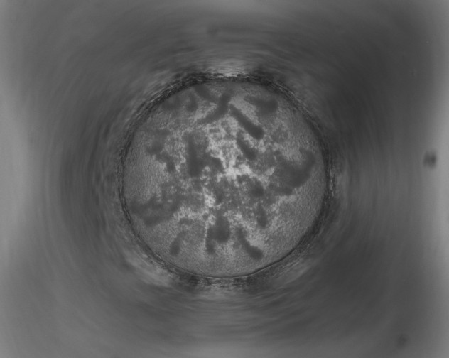 X0000116831393200912181423
