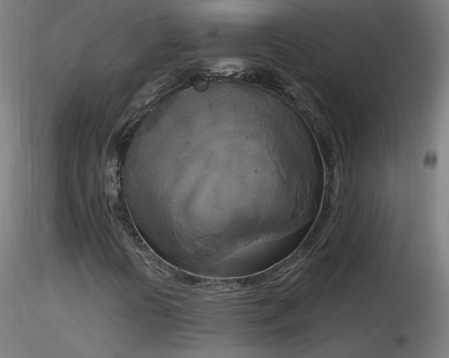 X0000116831394200912181423