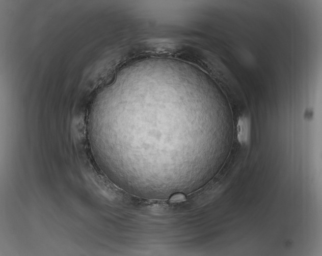 X0000116831395200912181423