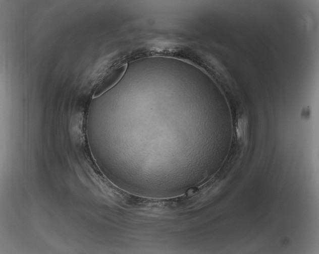 X0000116831396200912181423