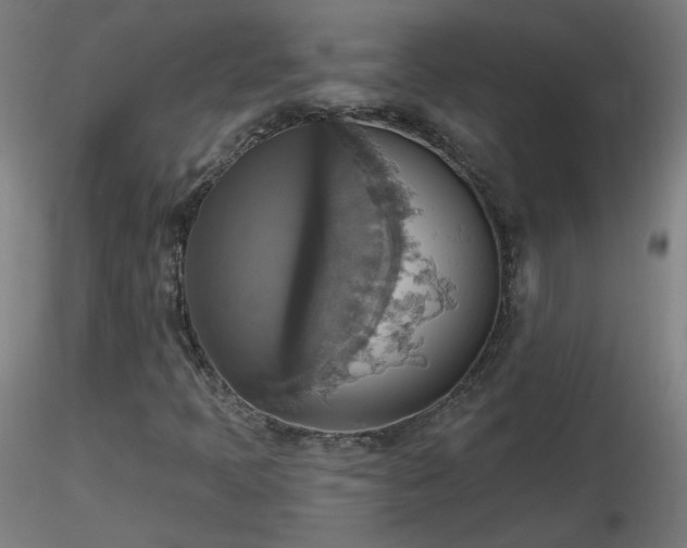 X0000116831397200912181423