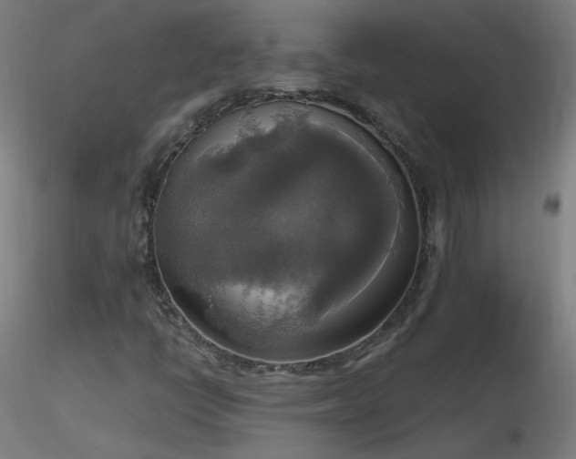 X0000116831398200912181423