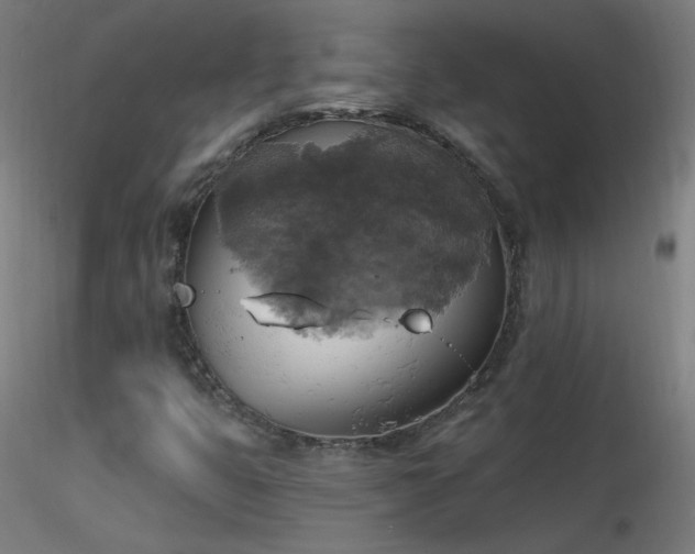 X0000116831399200912181423