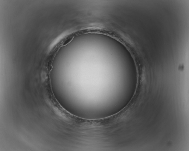 X0000116831400200912181423