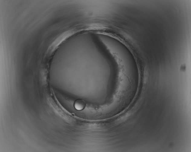 X0000116831401200912181423