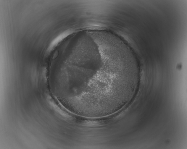 X0000116831402200912181423
