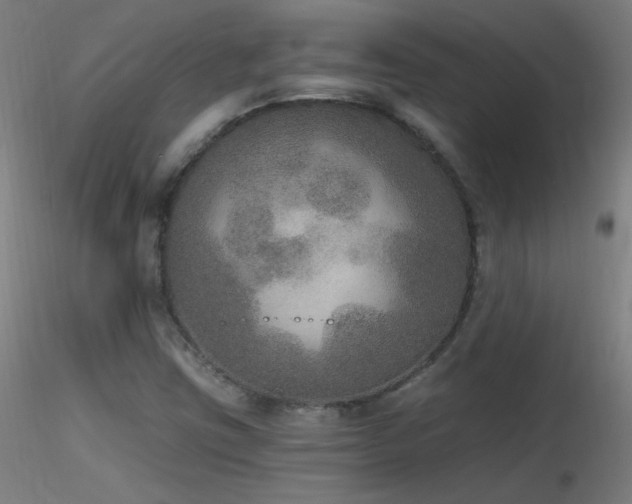 X0000116831403200912181423