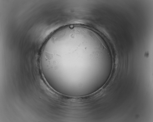 X0000116831404200912181423