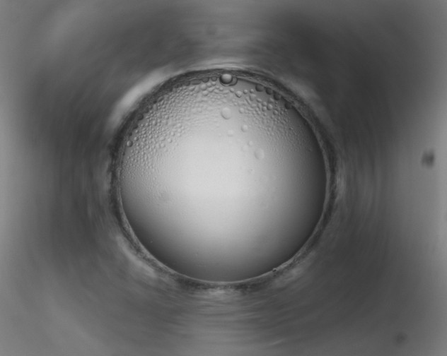 X0000116831406200912181423