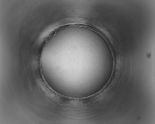 X0000116831407200912181423
