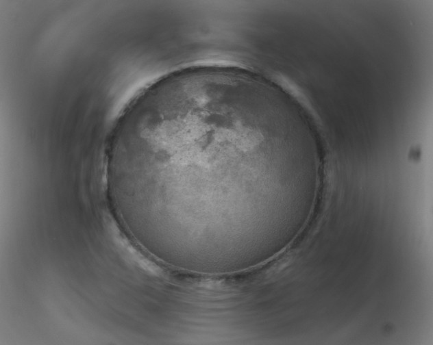 X0000116831408200912181423