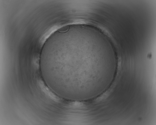 X0000116831409200912181423