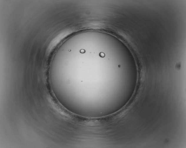 X0000116831410200912181423