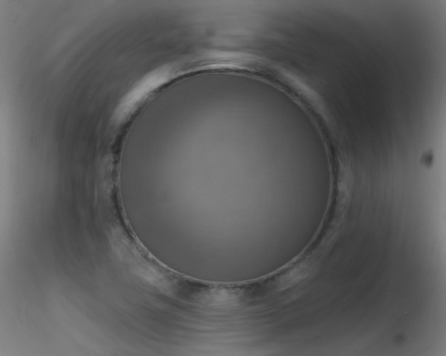 X0000116831411200912181423