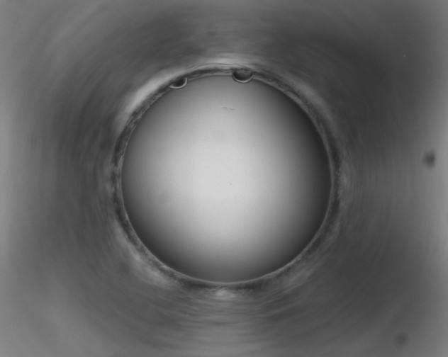 X0000116831412200912181423