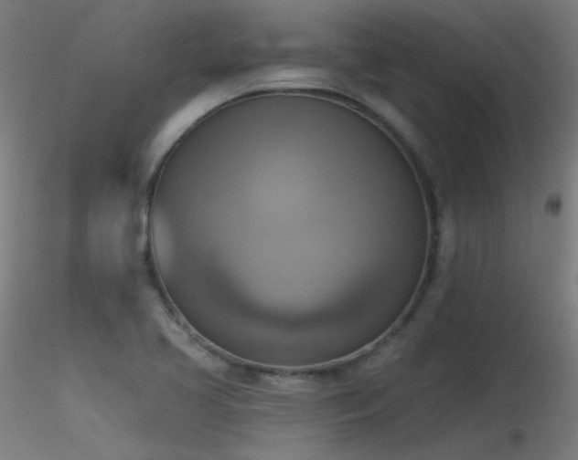 X0000116831413200912181423