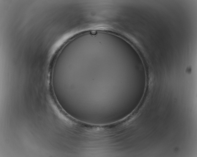 X0000116831414200912181423